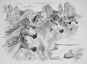 Save Mustangs From Extinction